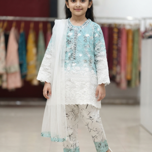 Light Blue Embroidered Premium Cotton Three-Piece Set