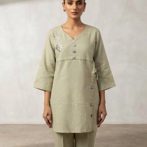 Stylish Pistachio Green Color Embroidery Work Cotton Kurti